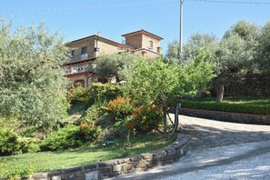 Property grounds - Farmhouse with infinity pool. Ideal for groups. (Castellabate)