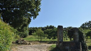 A historical stone structure with a partially intact wall and archway, surrounded by greenery and trees.