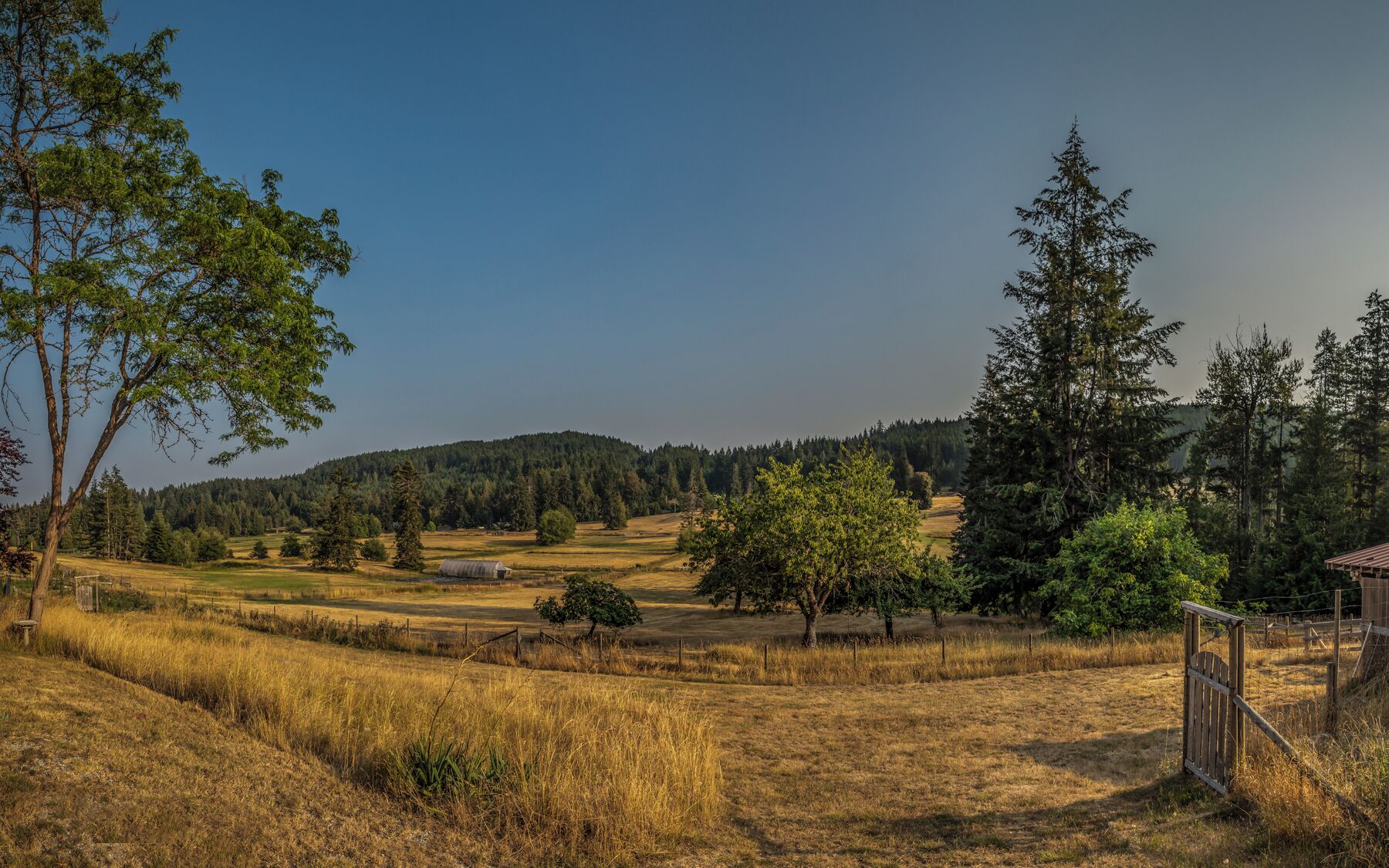 A rural landscape with a wooden gate, trees, and a distant forested hill.