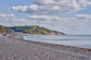 Unclassified image, 3 of 19, button