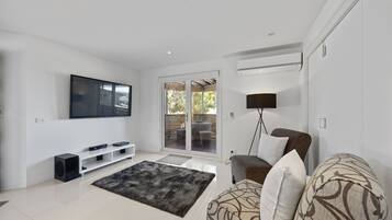 Smart TV, fireplace, books
