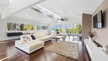 Smart TV, fireplace, books