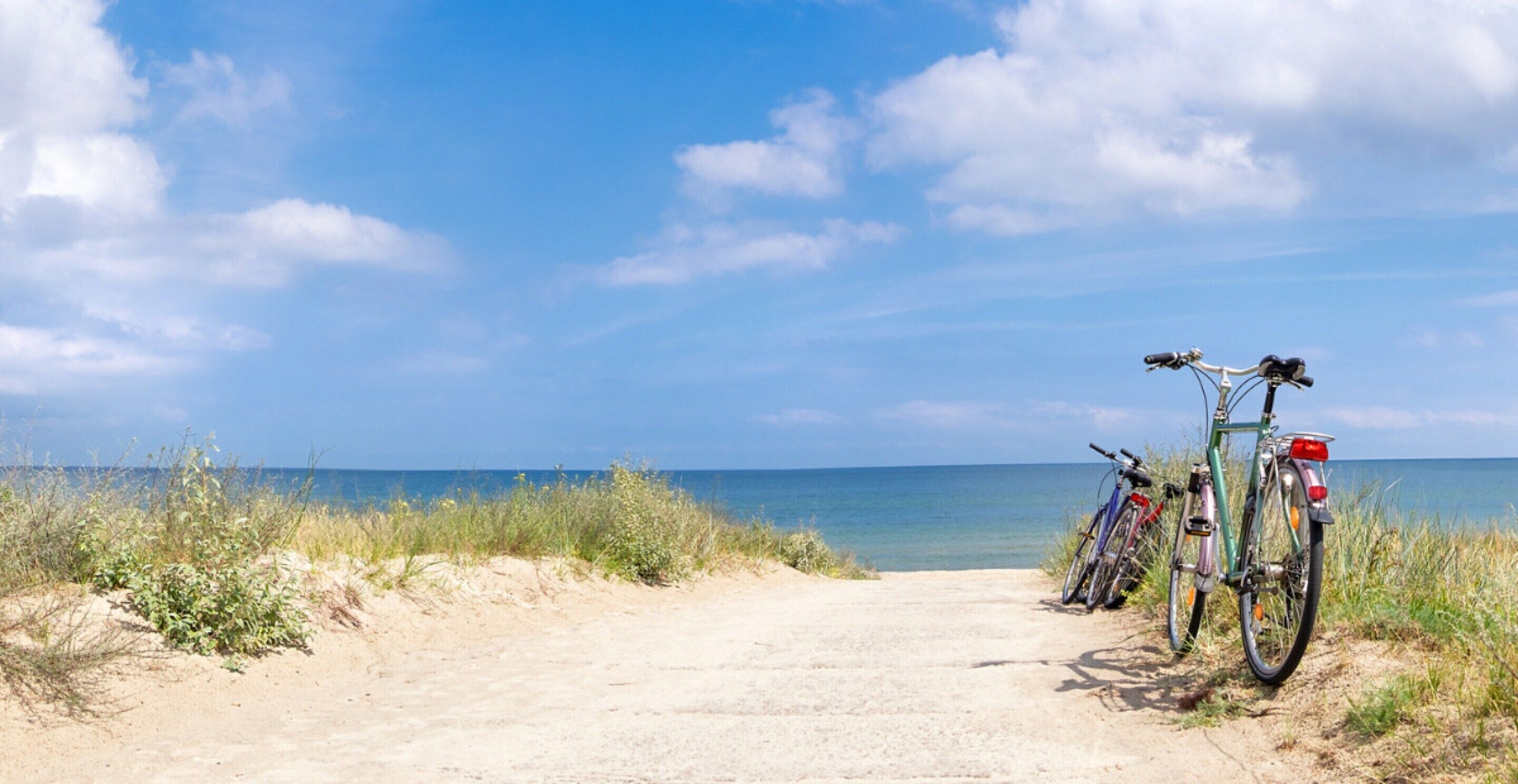 A sandy path leading to the sea with two bicycles parked on the right.