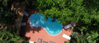 Seahouse Beachfront B&B with Pool
