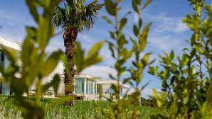 A modern house with a large glass facade, surrounded by lush greenery and a palm tree. - Villa Iconica Seconda with Pool (Ugljan)