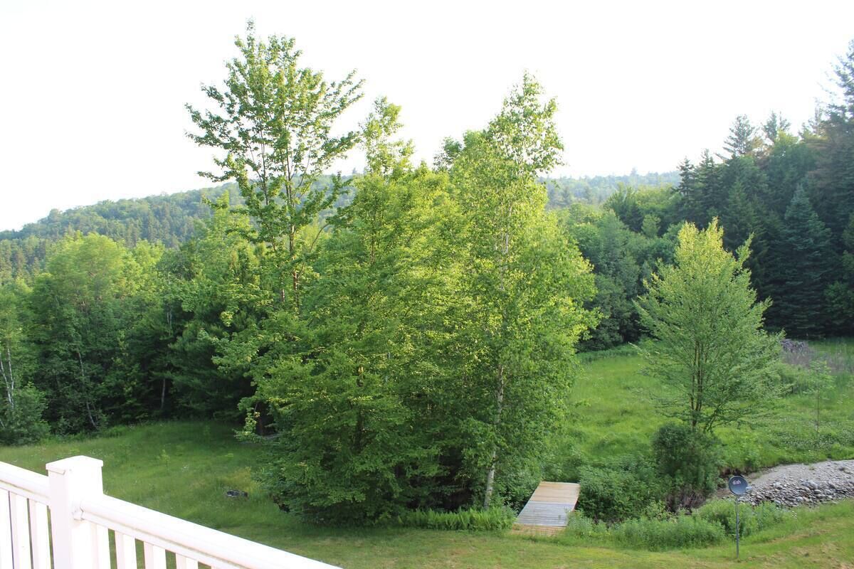 Vista de una zona boscosa con una terraza de madera y un pequeño edificio, probablemente una cabaña o un refugio, rodeado de árboles y vegetación.