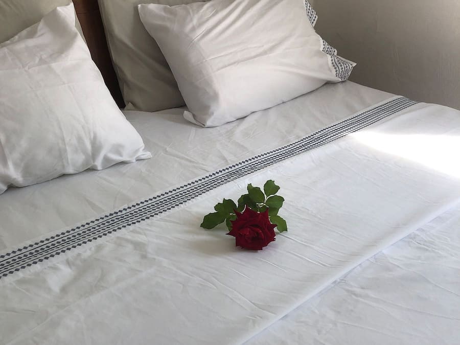 Suite | Free WiFi