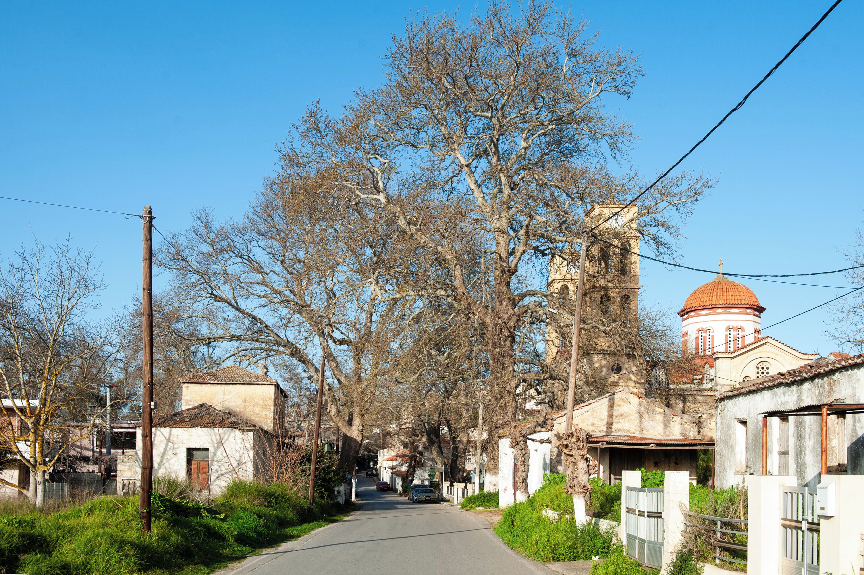 A narrow street lined with trees and old buildings, including a church with a dome.