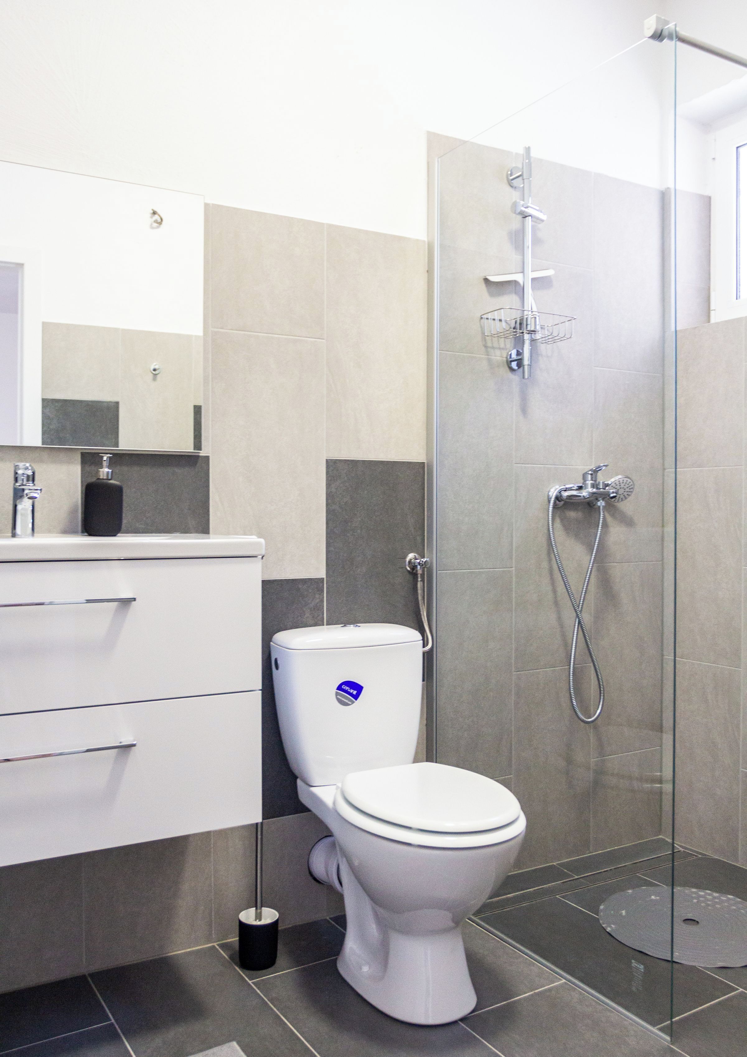 Een moderne badkamer met toilet, douche en een wastafel met spiegel.