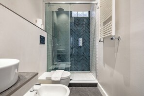 Regadera, secadora de cabello, bidet, toallas 