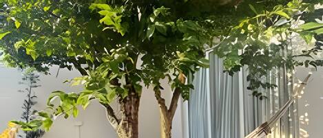 Villa | Terrasse/Patio