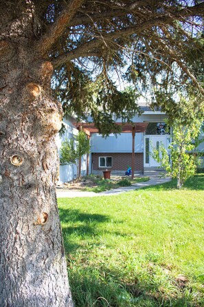 Detalle del exterior