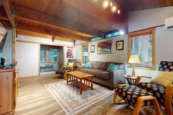 TV, fireplace, DVD player, books