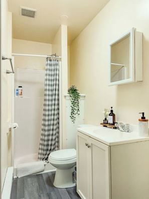 Hair dryer, towels, soap, toilet paper