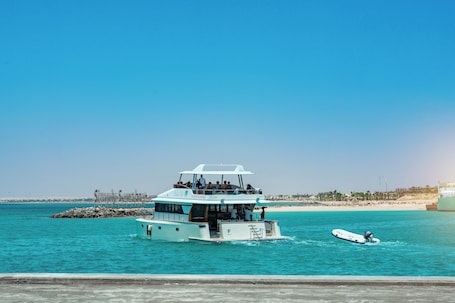 Paseos en bote