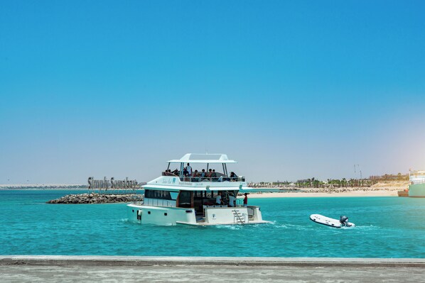 Paseos en bote