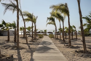 Private beach nearby, free beach shuttle, sun-loungers, beach umbrellas - The Kaktus Somabay (Soma Bay)