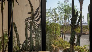 Un intérieur moderne avec une grande fenêtre donnant sur un jardin désertique agrémenté de cactus et d’autres plantes.