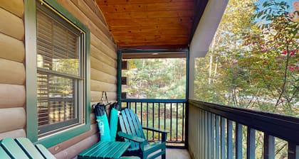 Charming cabin retreat with fireplace, kitchen, nearby hiking - dog-friendly