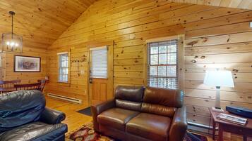 Télévision, cheminée, lecteur de DVD, table de tennis de table