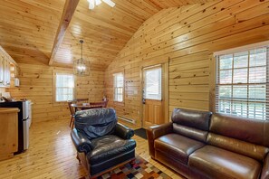 TV, fireplace, DVD player, ping pong - Dog-friendly nature lovers retreat with fireplace, WiFi, AC & playground (Northport)