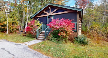 Dog-friendly cabin with kitchen, firepit, AC, gym, ping-pong & fun awaits