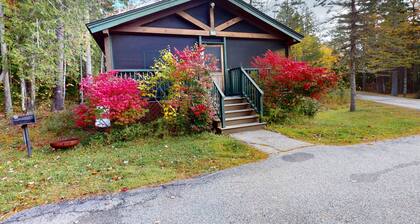 Dog-friendly cabin with kitchen, firepit, AC, gym, ping-pong & fun awaits