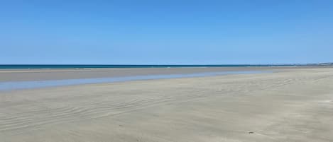 海灘