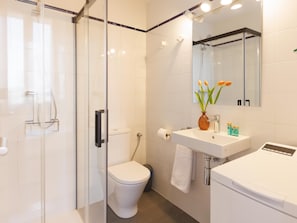 Shower, hair dryer, towels