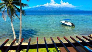 A beach view with a boat, palm trees, and a clear sky.