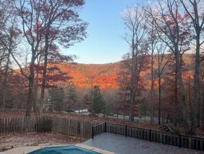 Property grounds - ing Suite Near I-64~Nat Park~Mtn View~Game Room! (Lyndhurst)