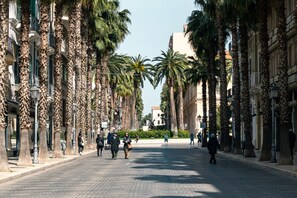 Unclassified image, 5 of 38, button