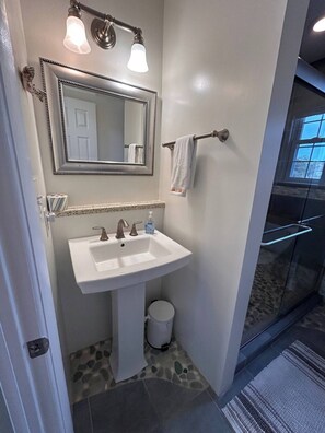 Shower, hair dryer