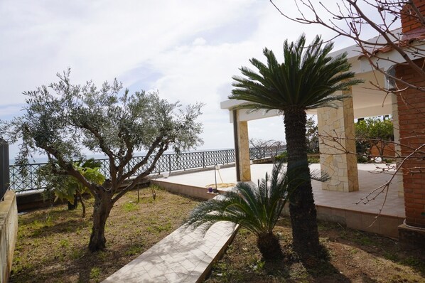 A covered outdoor area with a view of the sea, featuring a pergola, palm trees, and a pathway.