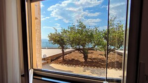 Vista a través de una ventana que muestra un área pavimentada, un árbol y una cerca.