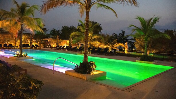 Une piscine dont le bord est illuminé de lumière verte, entourée de palmiers et de chaises longues.