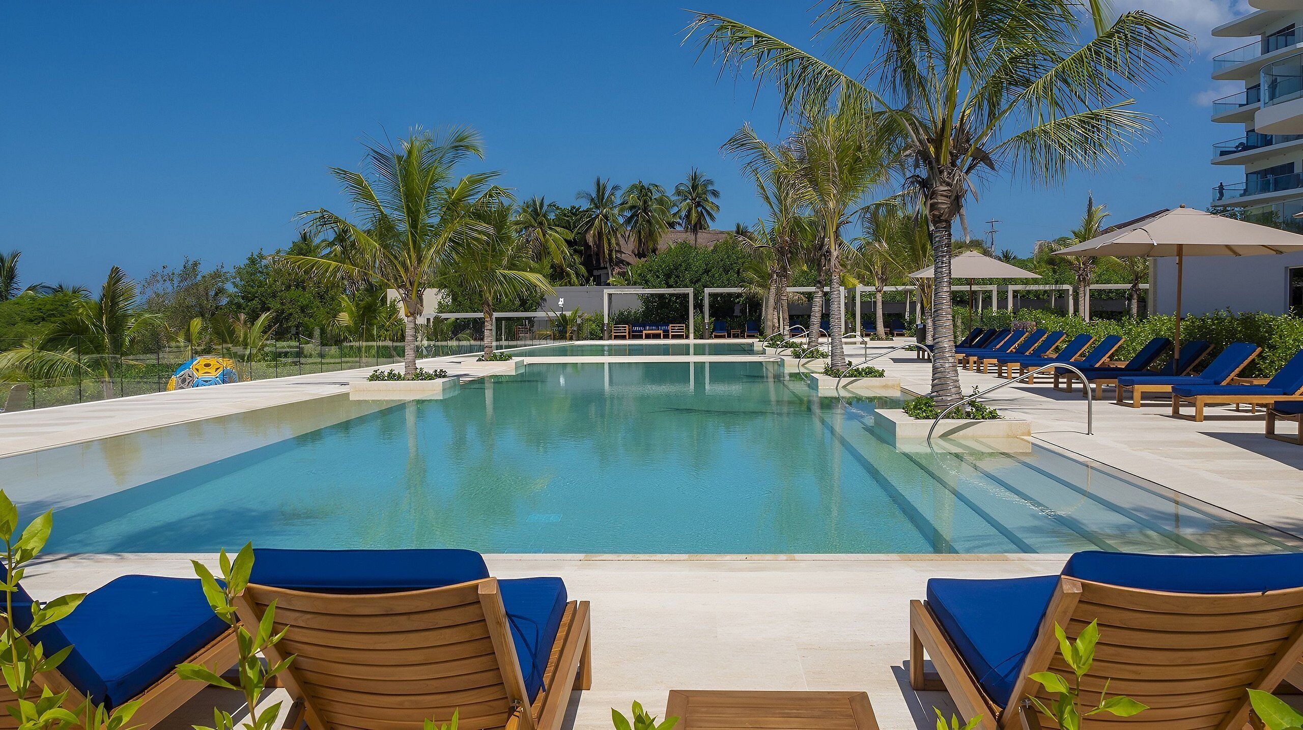 A swimming pool with lounge chairs and palm trees.