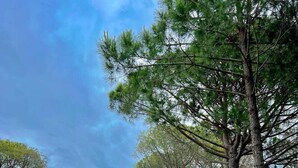 Zona esterna con tavoli e sedie, immersa nel verde e alberi sotto un cielo sereno.