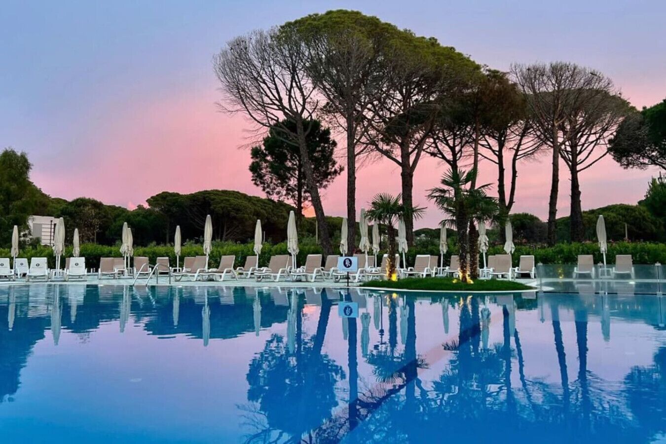 Ein Pool mit Liegestühlen und Sonnenschirmen, umgeben von Bäumen und blauem Himmel.