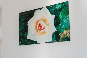 未分类图片，第 2 张，共 35 张，按钮