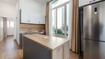 Fridge, oven, stovetop, cookware/dishes/utensils