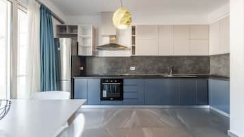Fridge, oven, stovetop, cookware/dishes/utensils