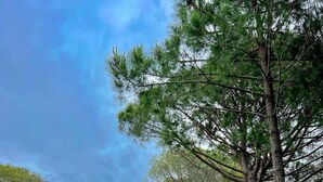 An outdoor patio with tables and chairs, surrounded by trees and greenery. - Tranquil Apartment with pool access - Manjola by PikHost (Gjiri i Lalzit)