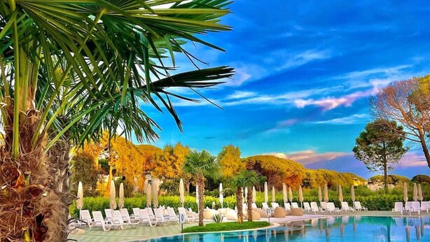 A swimming pool with lounge chairs and umbrellas, surrounded by trees and a clear sky. - Spacious 1BR Apartment with Resort Access by PikHost (Gjiri i Lalzit)