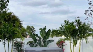 A hot tub surrounded by tropical plants and a white fence.