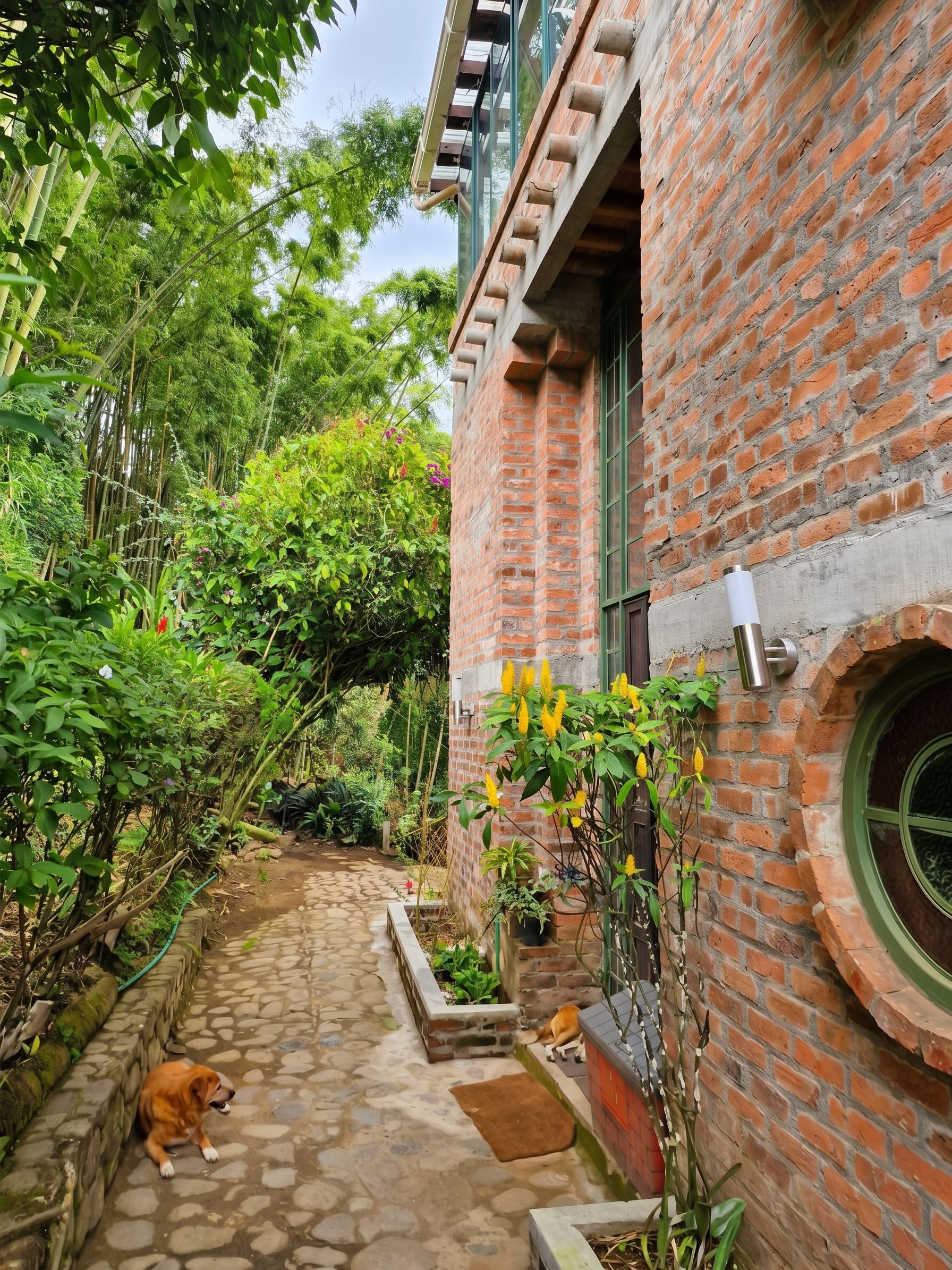 A brick building with a stone pathway leading to a door, surrounded by lush greenery and a dog.