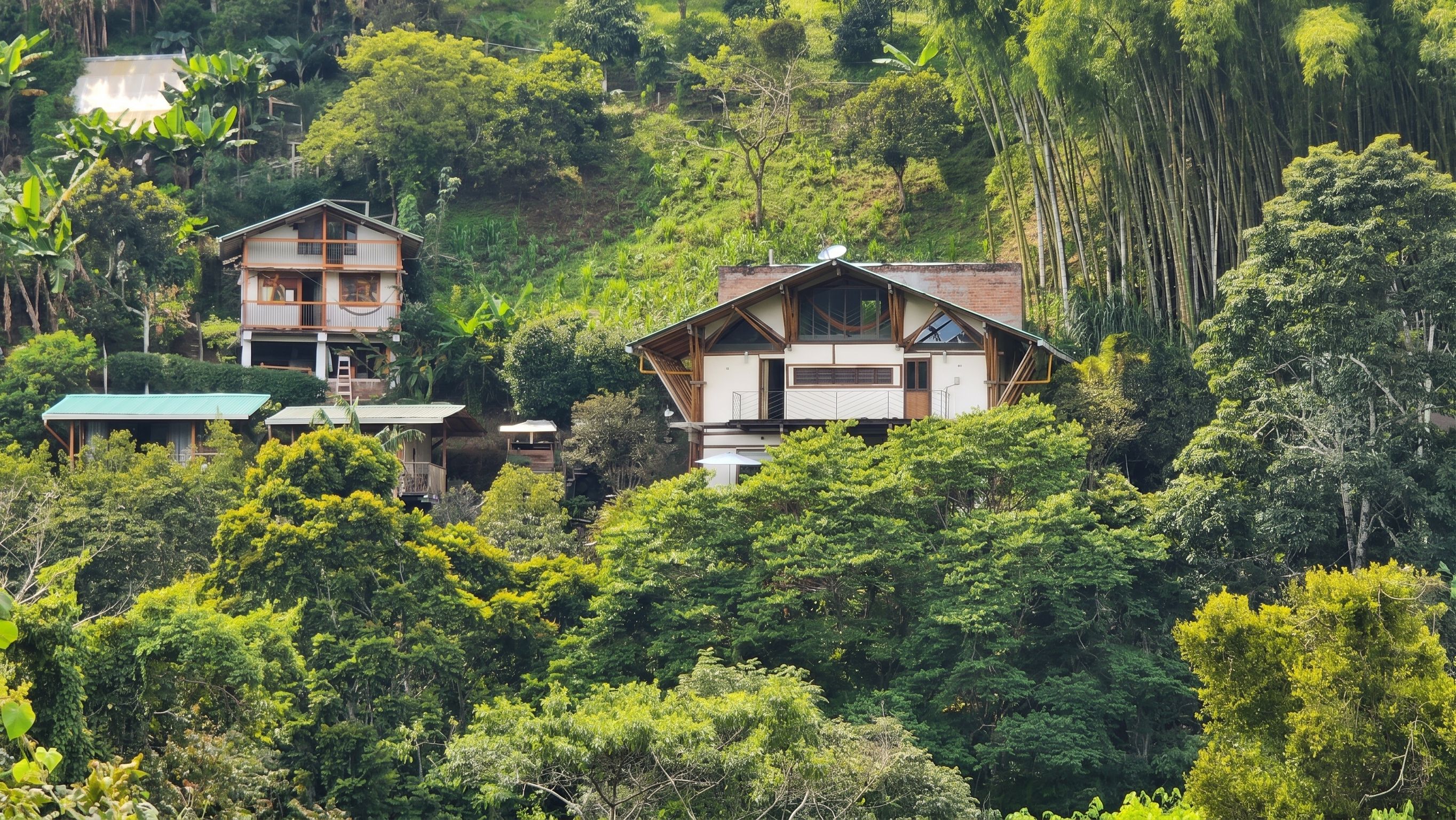 A two-story house surrounded by dense greenery, with a visible satellite dish and a small shed.