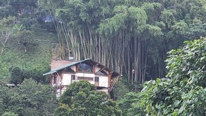 A wooden house with a sloped roof, surrounded by dense forest and tall bamboo trees. - Casa Tien (Salento)