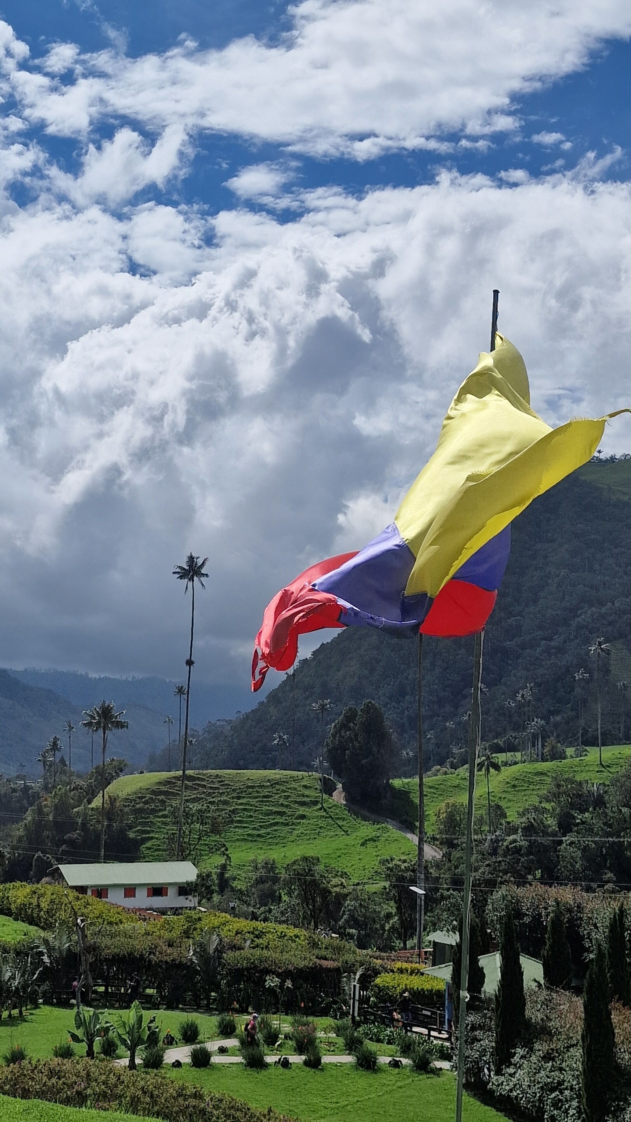 Un drapeau flottant au sommet d’un mât, avec un paysage montagneux en arrière-plan.