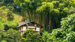 Una casa con techo inclinado, rodeada de un denso bosque de bambú.